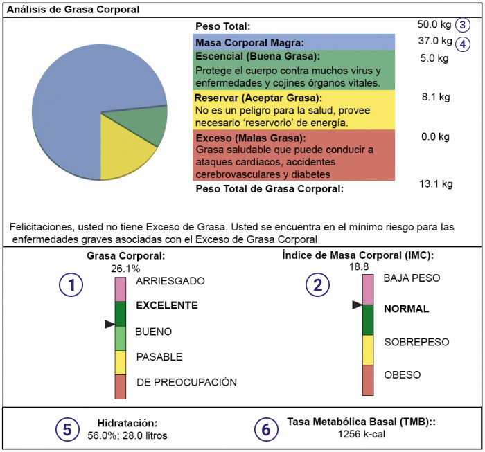 El-Cambio-Exacto-Gráfica-de-Análisis-de-Grasas-